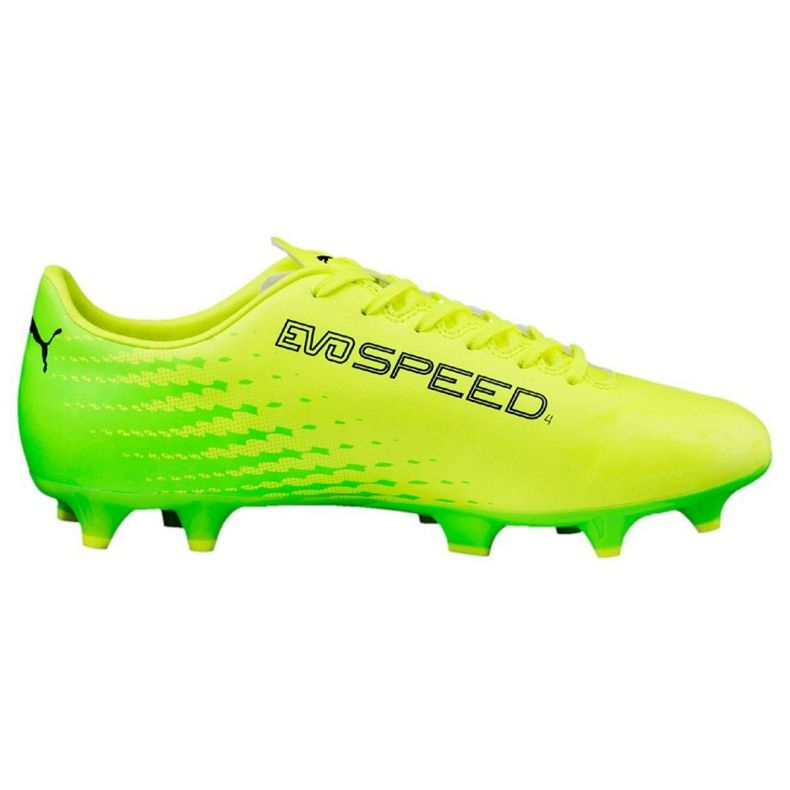 Football boots Puma Evo Speed ​​17.4 Fg M 104017 01 green