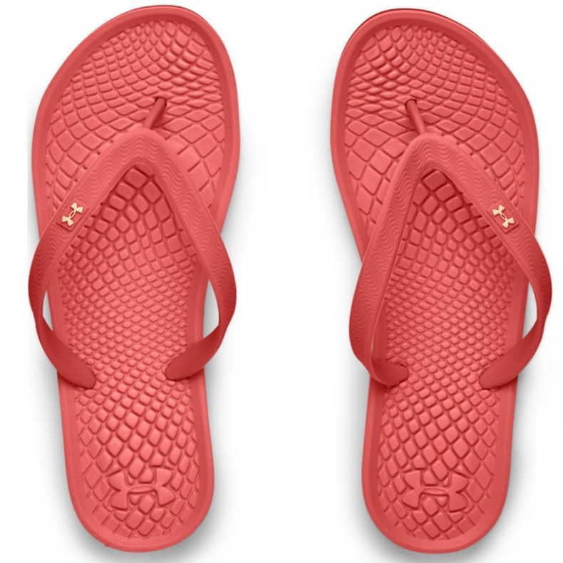 Under Armour Under Armor Atlantic Dune TW 3022 716 603 flip-flops red pink