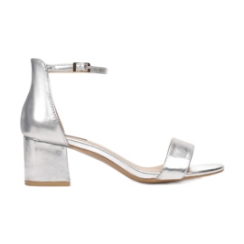 Vices 1601-52-silver