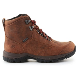 Ariat Berwick Gtx W 10016299 shoes brown