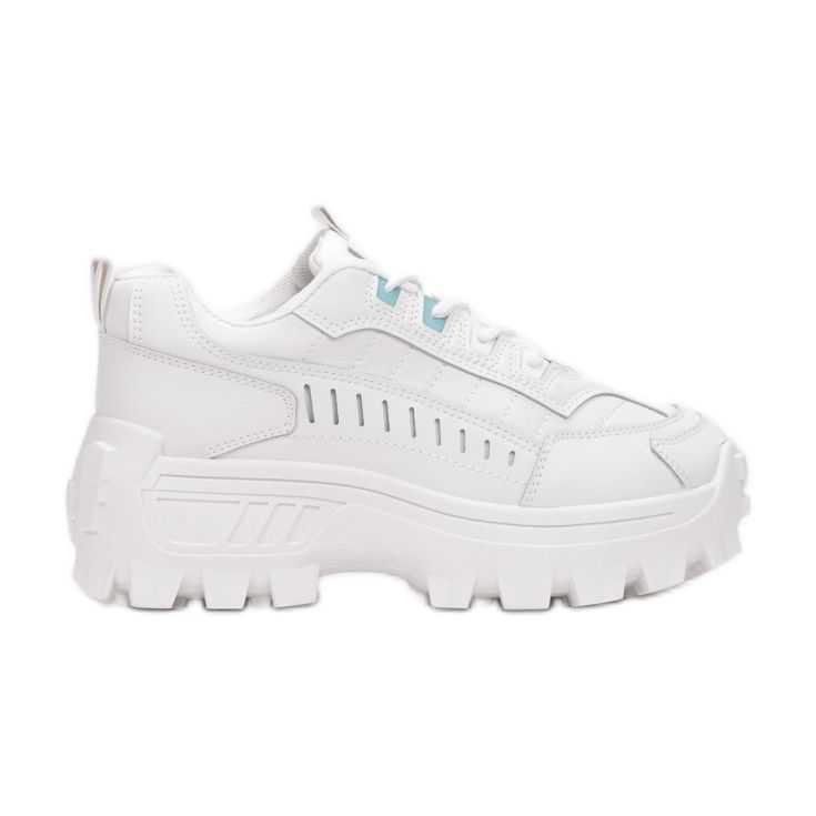 Vices FY-82-432-white / silver