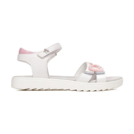 Vices B-3156-83-white / pink