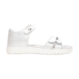 Vices T51-73-71-white