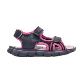 Vices T34-26-292-blue / fushia Vices T34-26-292-blue / fushia