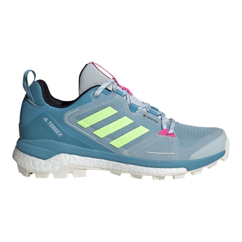 Adidas Terrex Skychaser 2 Gtx W FW2997 shoes blue green