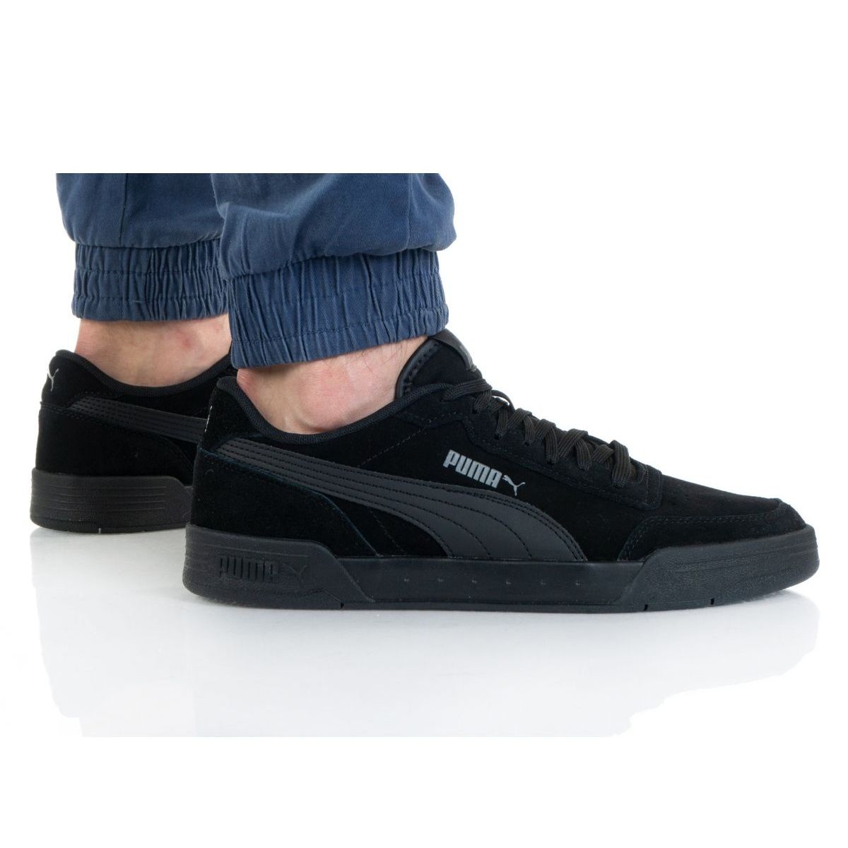 Puma caracal deals black