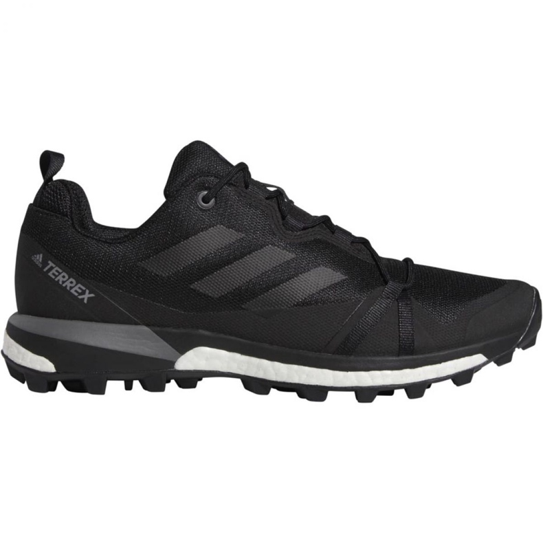 Adidas Terrex Skychaser M F36116 shoes black