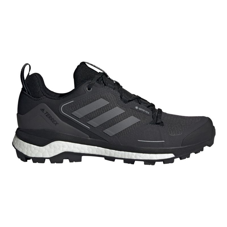 Adidas Terrex Skychaser 2 Gtx M FX4547 shoes black