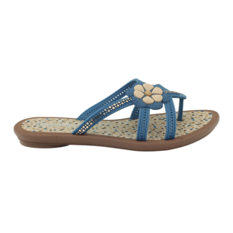 Rider Flip-flops, children's flip-flops with a water flower, Grendha, blue