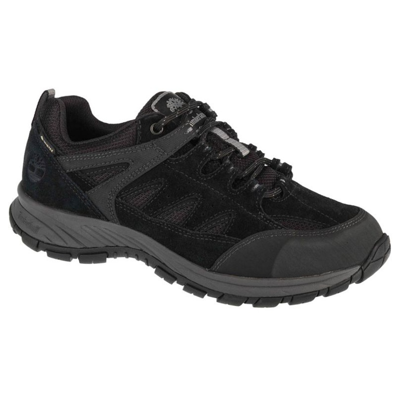 Timberland Sadler Pass Gtx A1PG2 shoes black