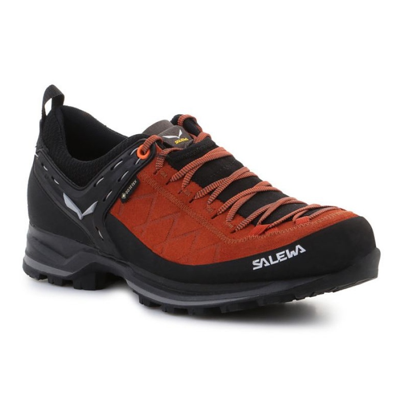 Salewa Ms Mtn Trainer 2 Gtx shoes 61356-7519 black