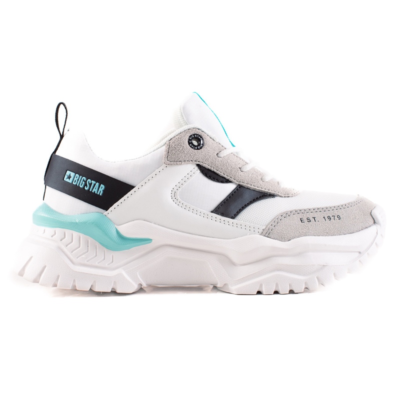 Women's sneakers Big Star JJ274A412 multicolored