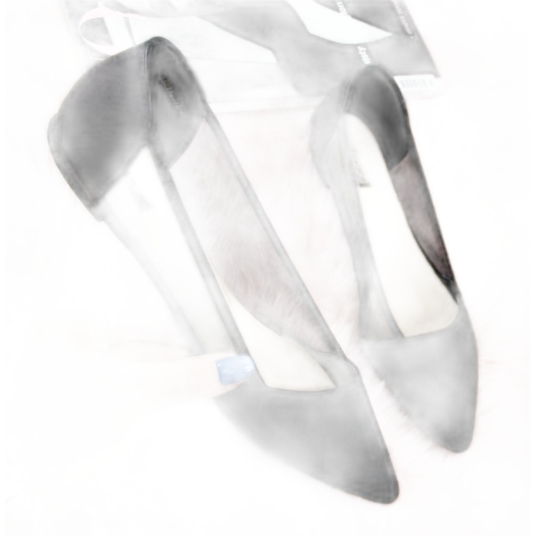 Women's Ballerinas Spitz Black Lakes