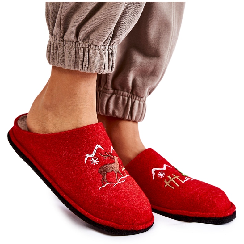 Domestic slippers Big Star KK276017 Red-Beige