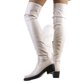 PA1 Beige boots Delore