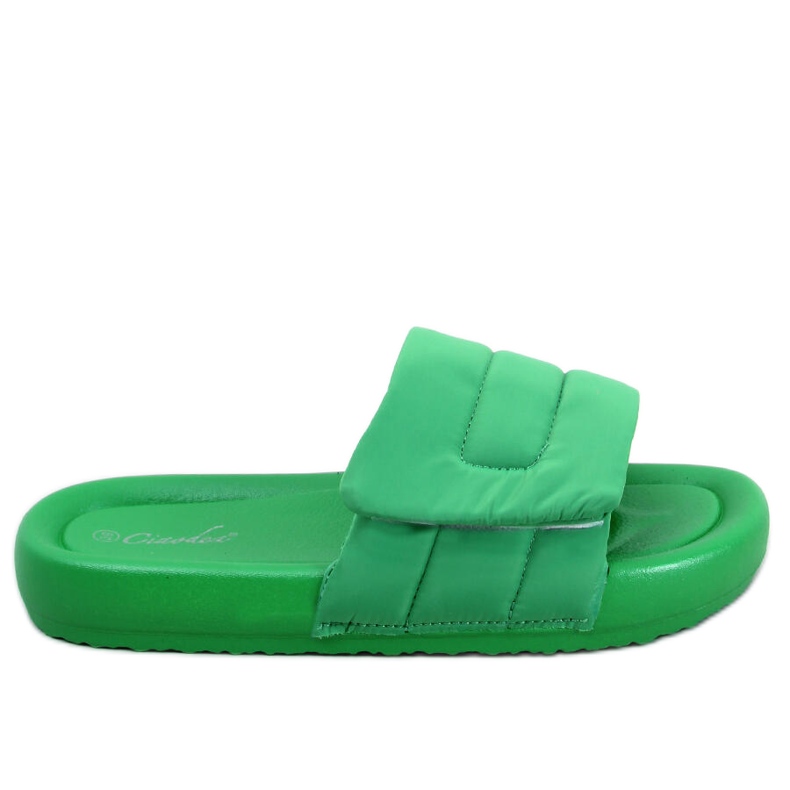 PA1 Cueto Green nylon slides