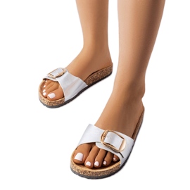 Silver buckle slides from Benoit Silver buckle slides from Benoit