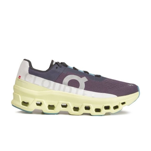 Running shoes On Running Cloudmonster M 6198244 grey