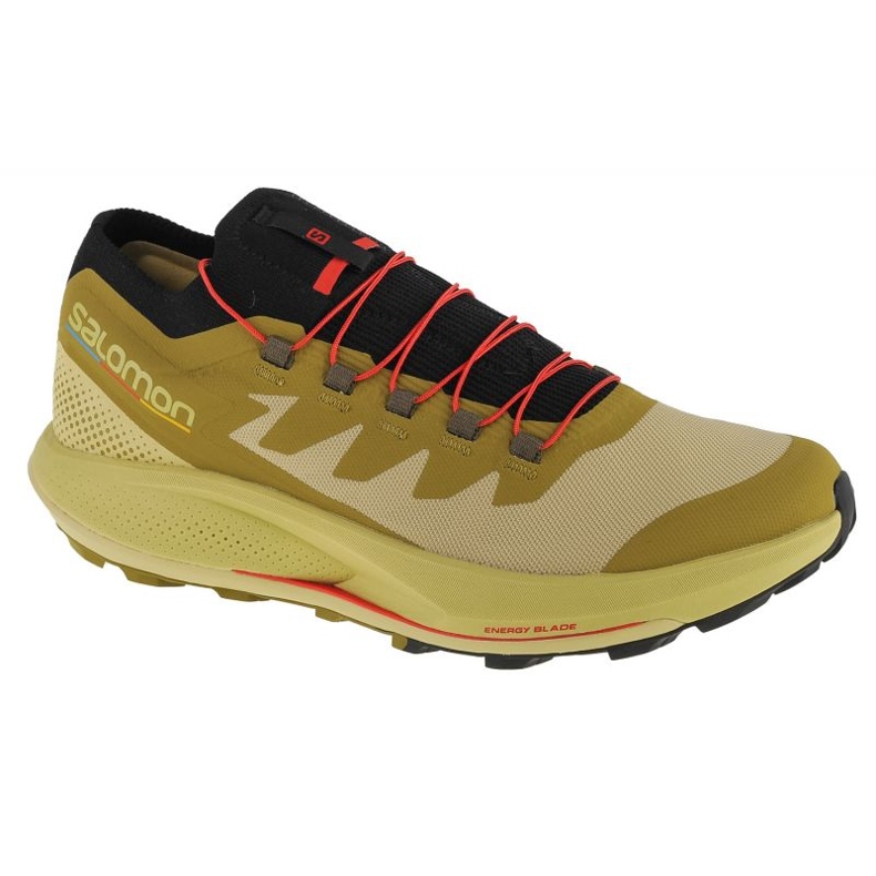 Shoes Salomon Pulsar Trail-Pro M 415936 green