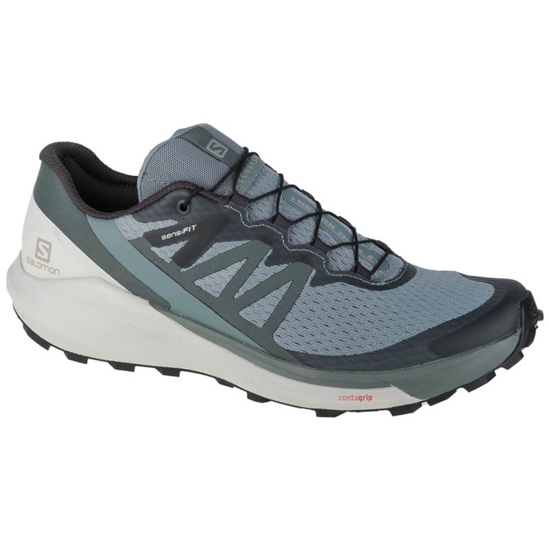 Shoes Salomon Sense Ride 4 M 412997 blue