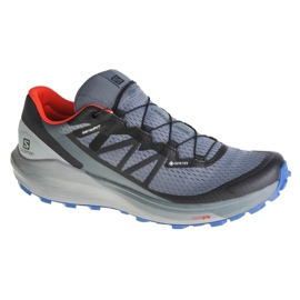 Shoes Salomon Sense Ride 4 Gtx M 413778 grey