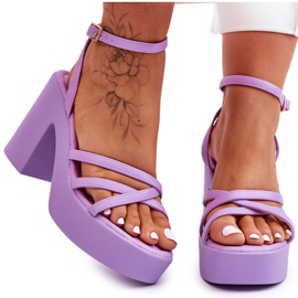 FS1 Fashionable High Heels Sandals With Purple Shemira Stripes