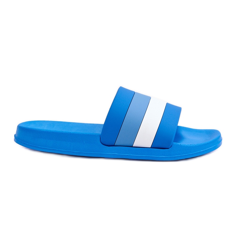 Women's Blue Vision Striped Slippers