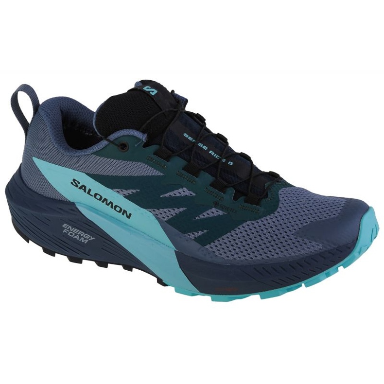 Shoes Salomon Sense Ride 5 Gtx M 471474 blue