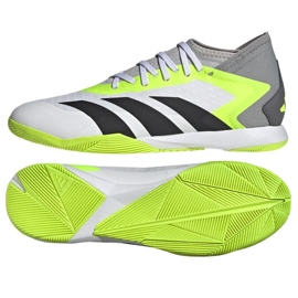 Adidas Predator Accuracy.3 In M GY9990 football shoes white white