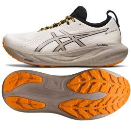 Asics Gel-Nimbus 25 Tr M 1011B769 200 running shoes white