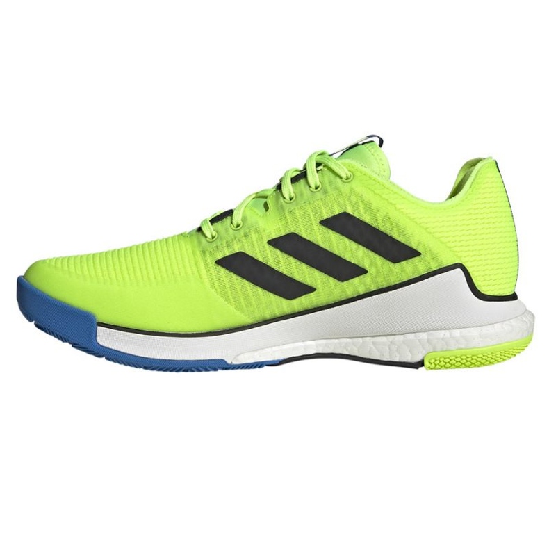 Adidas CrazyFlight M HP3356 volleyball shoes green