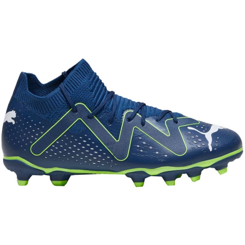 Puma Future Match FG/AG 107384 03 football shoes blue Puma Future Match FG/AG 107384 03 football shoes blue