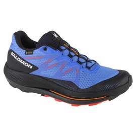 Salomon Pulsar Trail Gtx M 416080 running shoes blue
