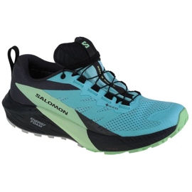 Salomon Sense Ride 5 Gtx W 472160 running shoes blue KeeShoes