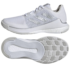 White volleyball outlet shoes adidas