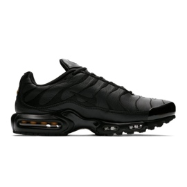 Nike Air Max Plus M AJ2029-001 shoes black