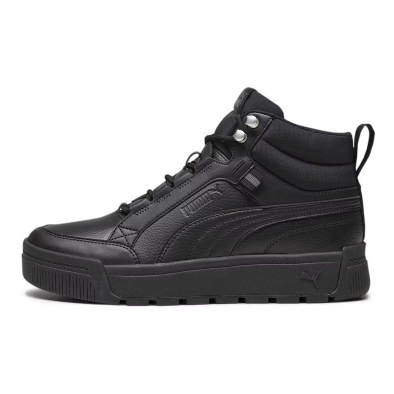Puma Tarrenz Sb Iii shoes 39262801 black