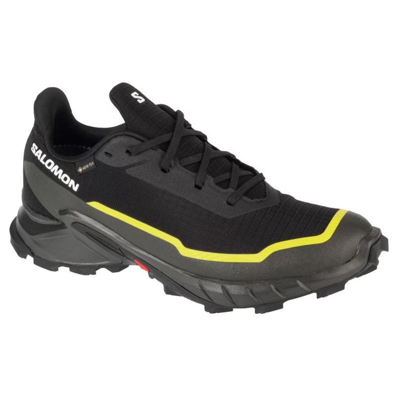 Salomon Alphacross 5 Gtx shoes 474604 black