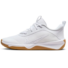 Nike Omni Multi-Court DM9027-105 shoes white