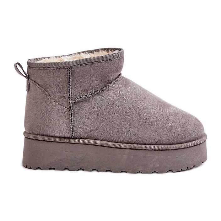 Women s Snow Boots On The Platform Fur Lined Gray Xamella grey
