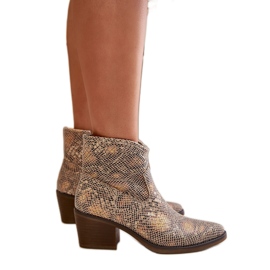 Women's Gold Snake cowboy boots multicolored Women's Gold Snake cowboy boots multicolored