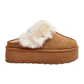 Slippers Model Starlyn BL396 Camel - Step in style brown Slippers Model Starlyn BL396 Camel - Step in style brown