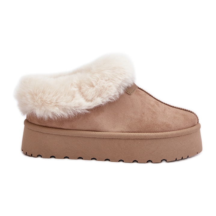 Snow boots with a low upper with fur on the platform Eco Suede Dark Beige Neathoria