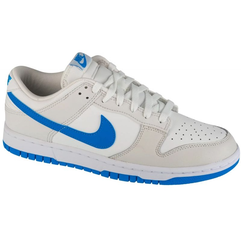 Nike Dunk Low Retro DV0831-108 shoes white