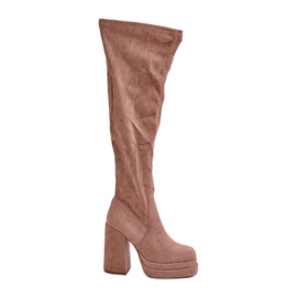 Beige Nadelian Over-the-Knee Boots with a High Heel and Platform