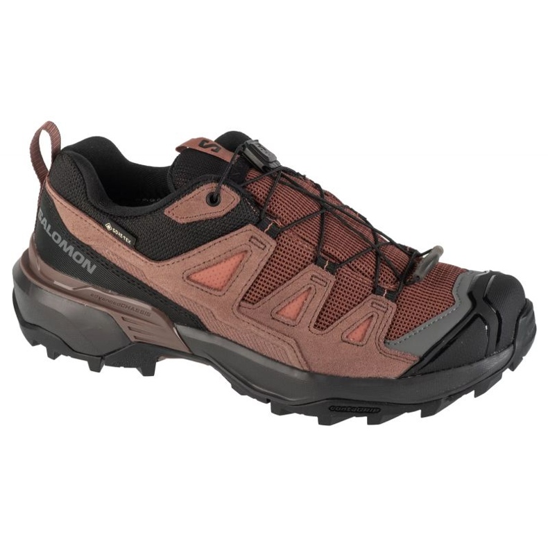 Salomon X Ultra 360 Ltr Gtx shoes 475715 brown