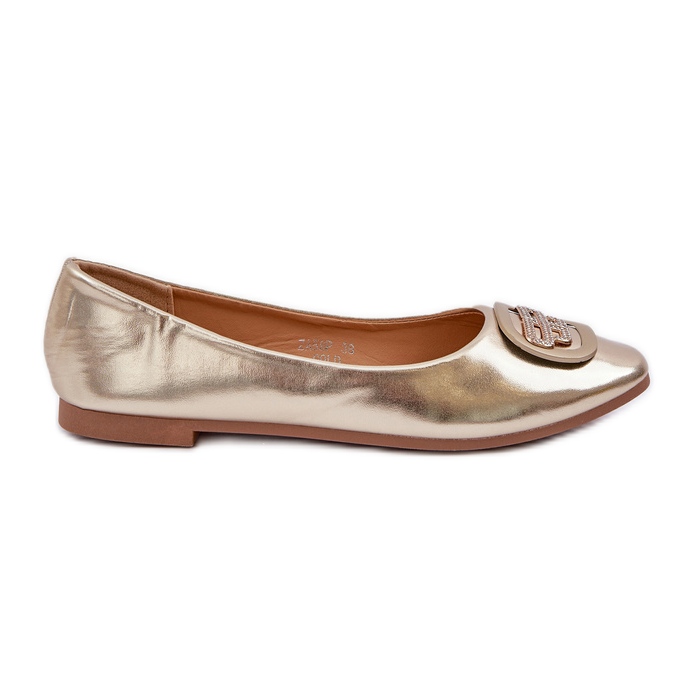 Ballerinas on a flat sole with a golden ornament Ballerinas on a flat sole with a golden ornament