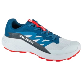 Salomon Alphaglide Ballad L47724300 running shoes grey
