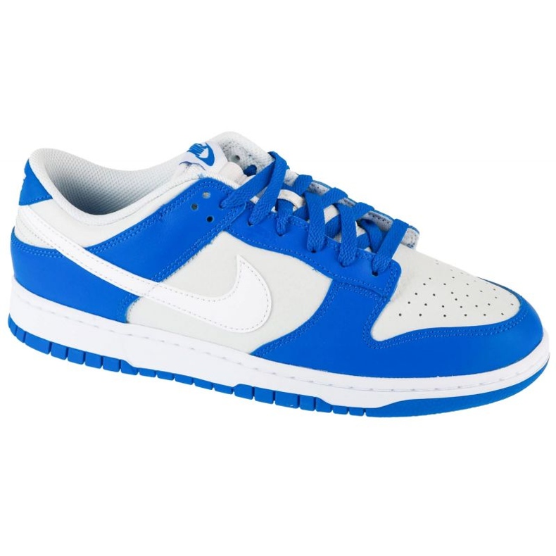 Nike Dunk Low FN3416-001 shoes white