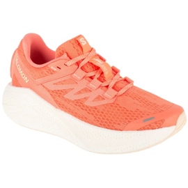 Salomon Aero Glide 3 L47810700 running shoes orange